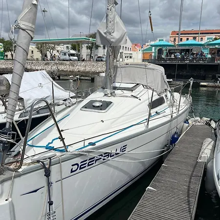 Deepblue Sail Boat Tekne