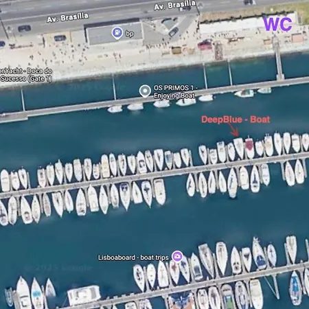 Tekne Deepblue Sail Boat